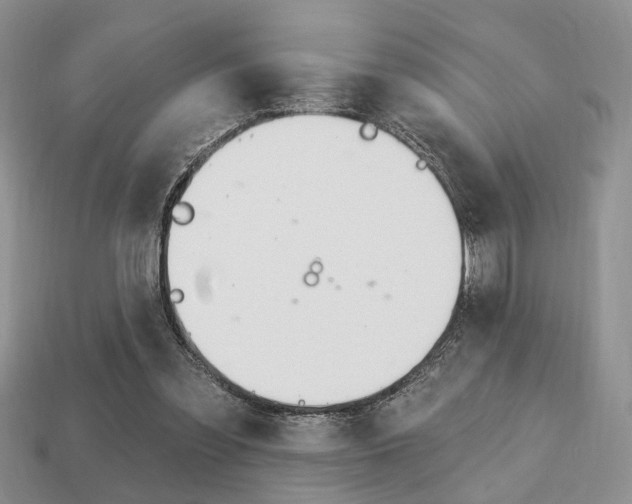 X0000113740301200909230951