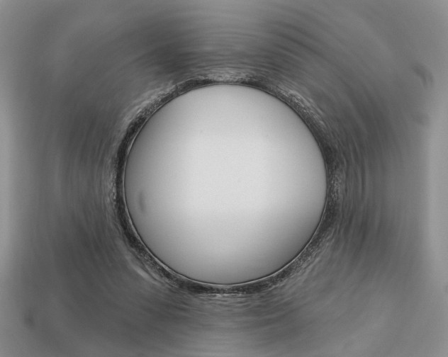 X0000113740303200909230951