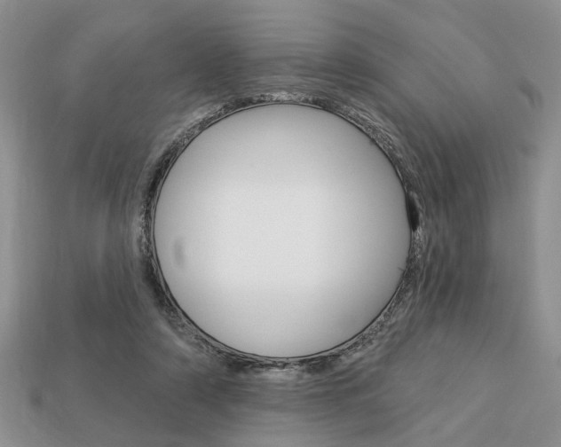 X0000113740306200909230951