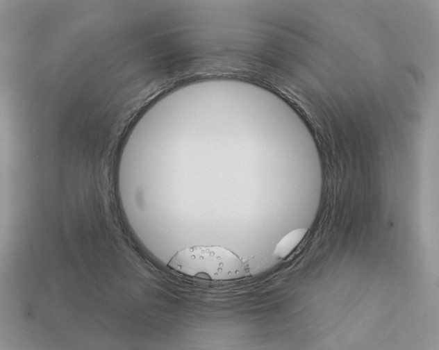 X0000113740309200909230951
