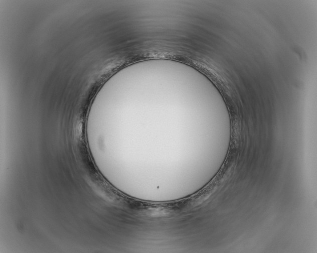 X0000113740310200909230951