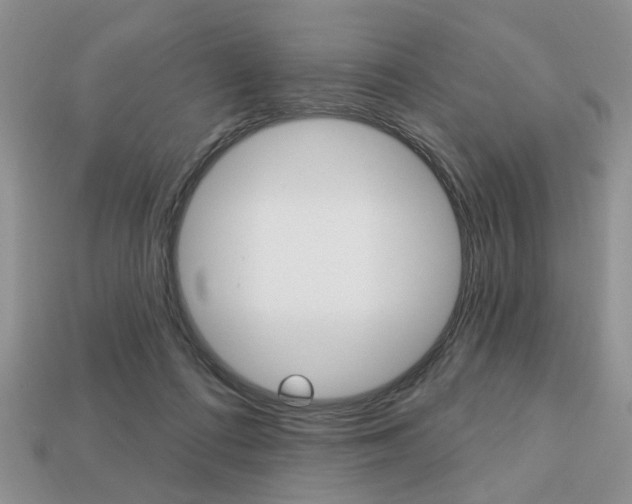 X0000113740312200909230951