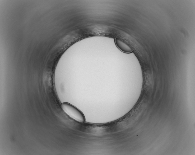 X0000113740313200909230951