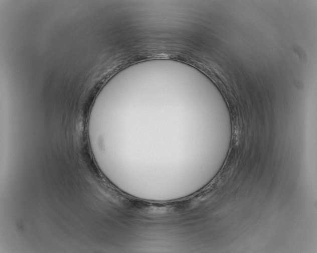 X0000113740314200909230951