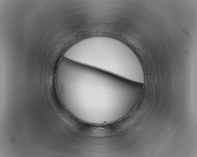 X0000113740315200909230951