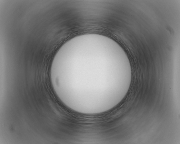 X0000113740316200909230951