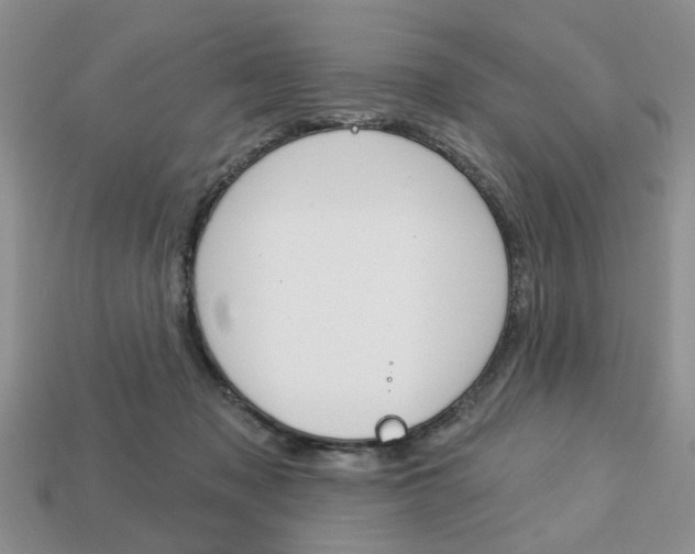 X0000113740317200909230951