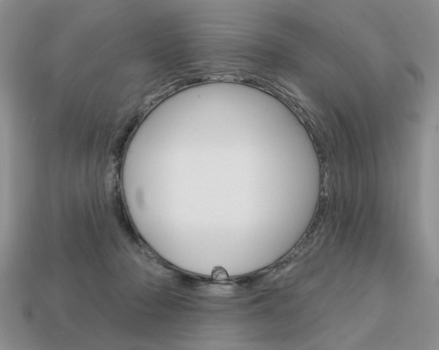 X0000113740318200909230951