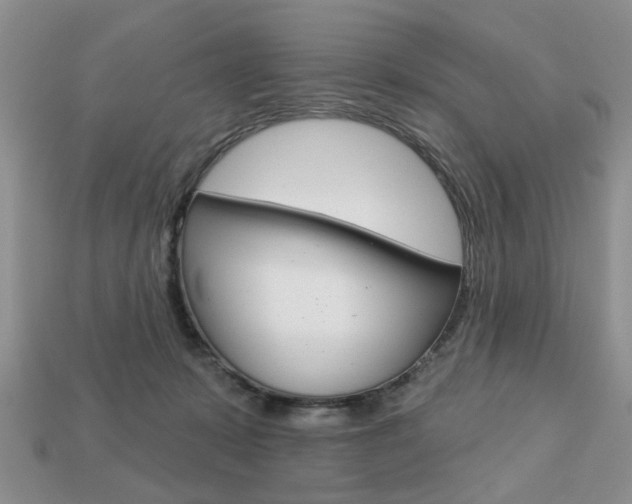 X0000113740319200909230951