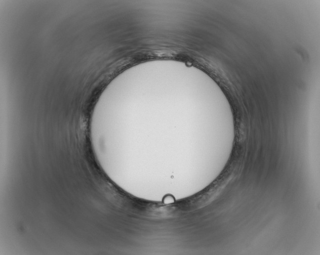X0000113740321200909230951