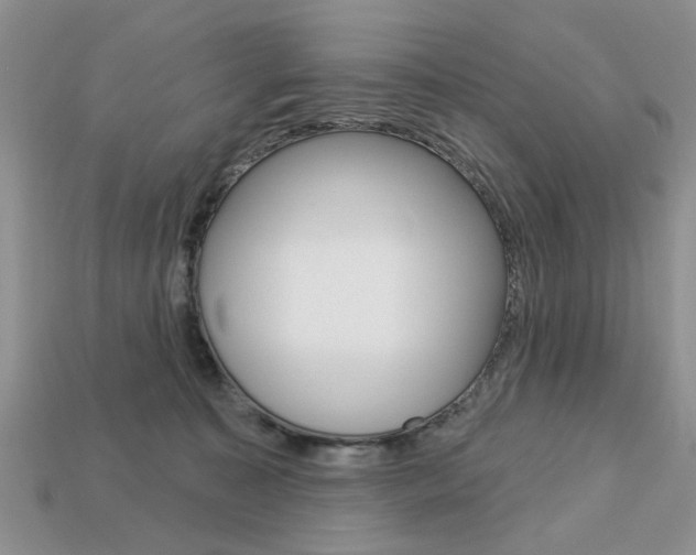X0000113740323200909230951