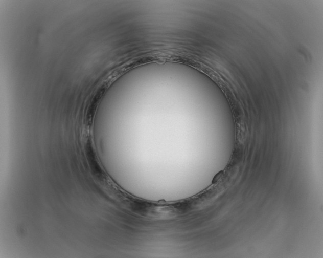 X0000113740324200909230951