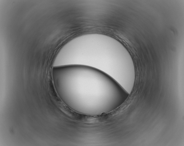 X0000113740325200909230951