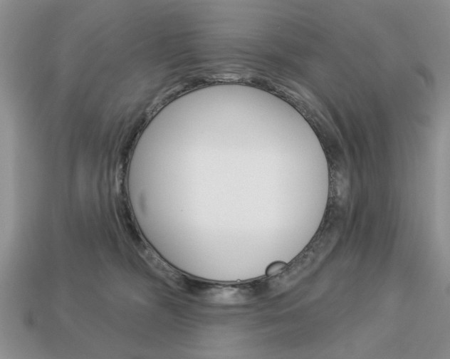 X0000113740326200909230951