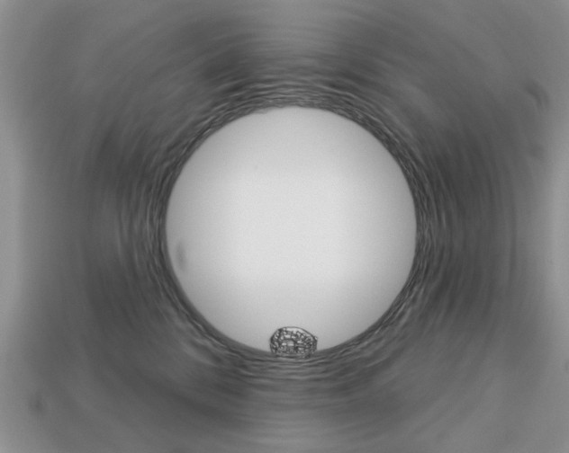 X0000113740328200909230951