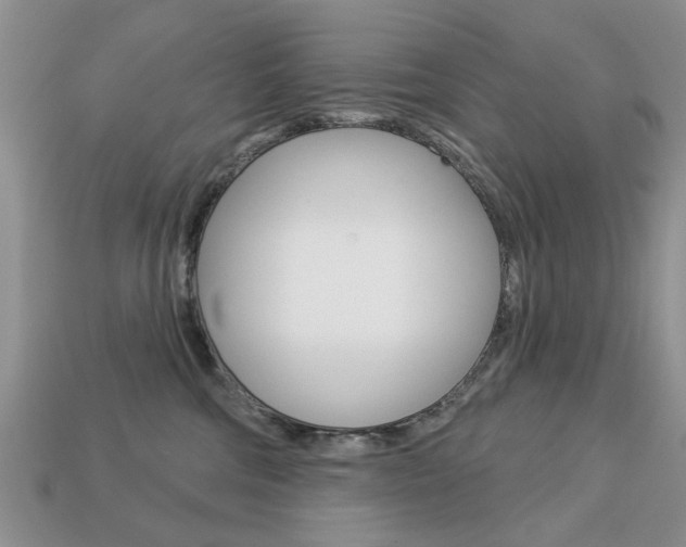X0000113740330200909230951