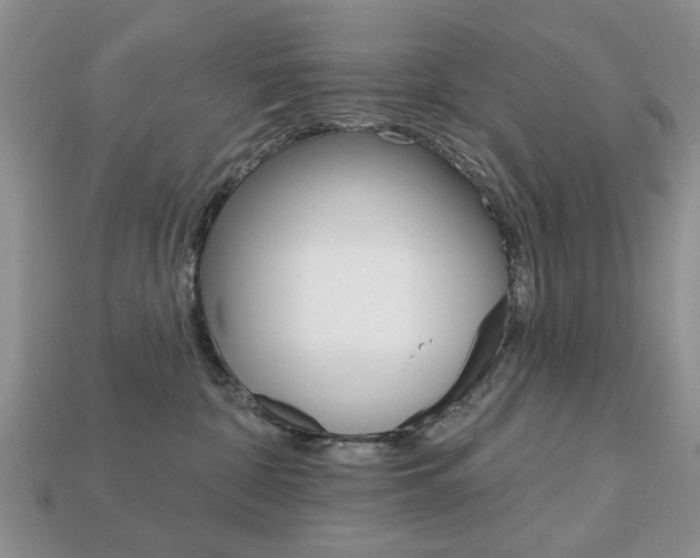 X0000113740332200909230951