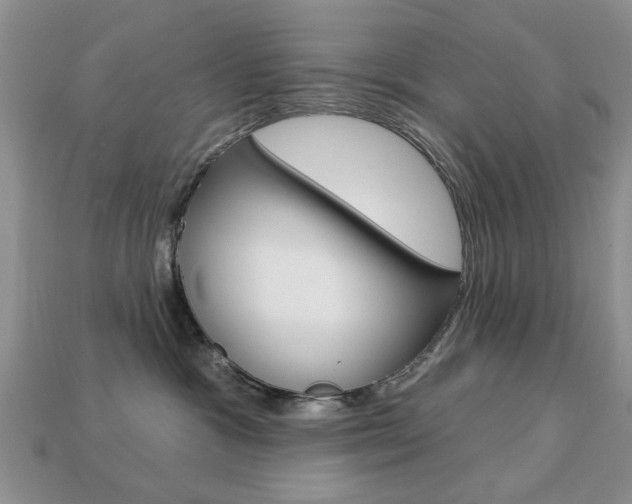 X0000113740333200909230951