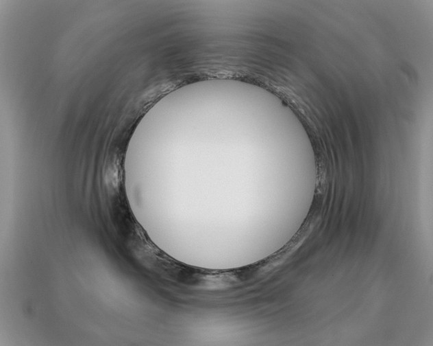 X0000113740334200909230951