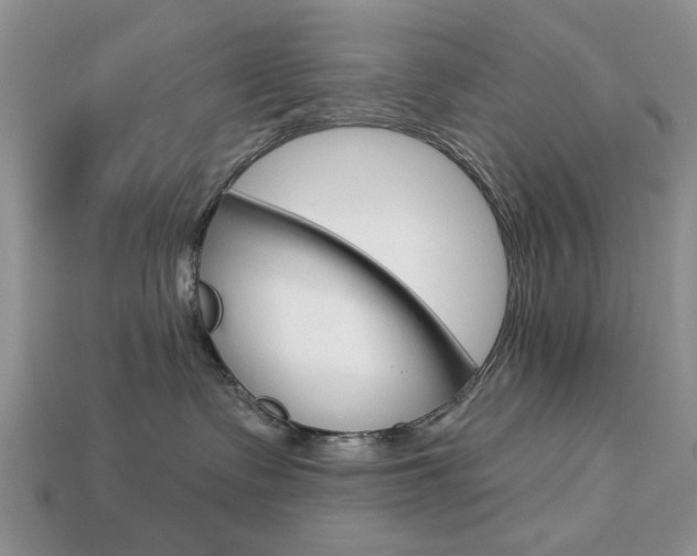 X0000113740335200909230951
