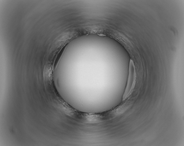 X0000113740336200909230951