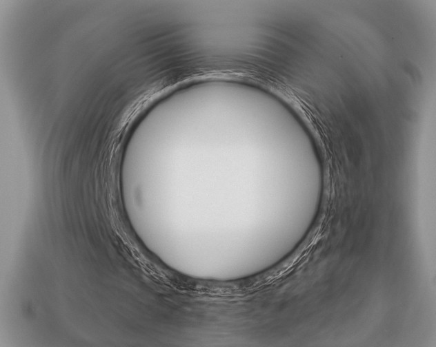 X0000113740337200909230950