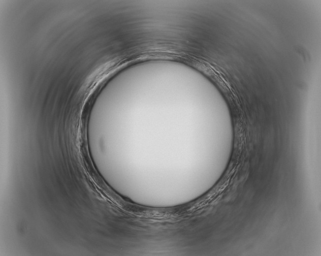 X0000113740338200909230950
