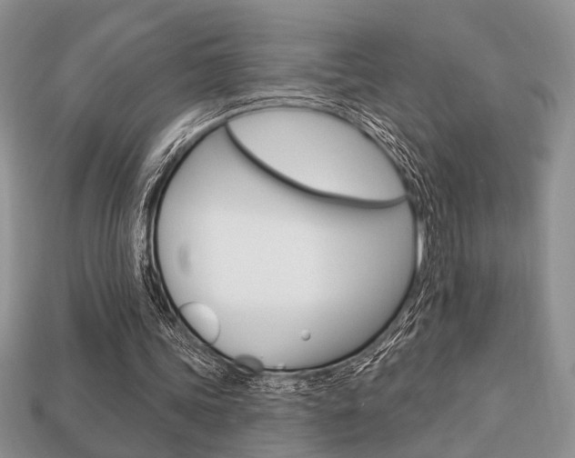 X0000113740339200909230950
