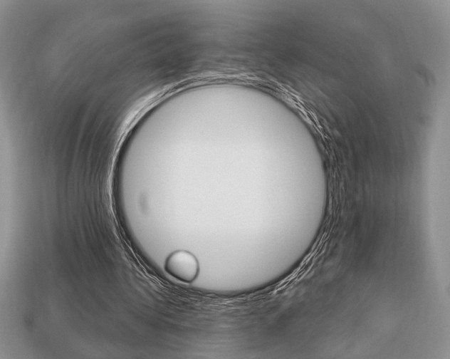 X0000113740340200909230950