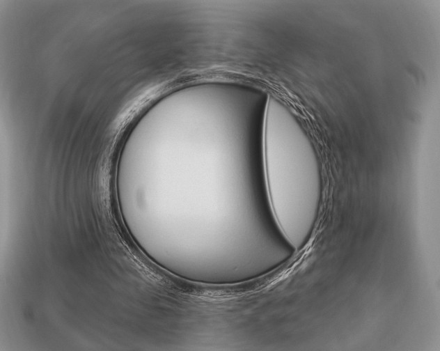 X0000113740341200909230950