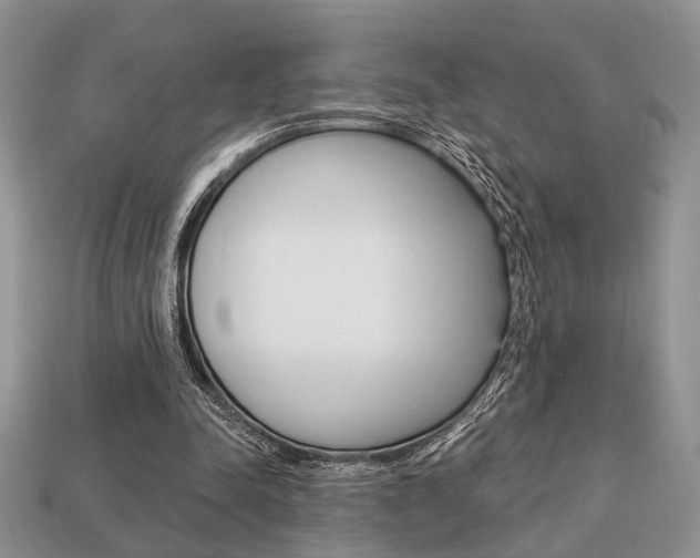 X0000113740342200909230950