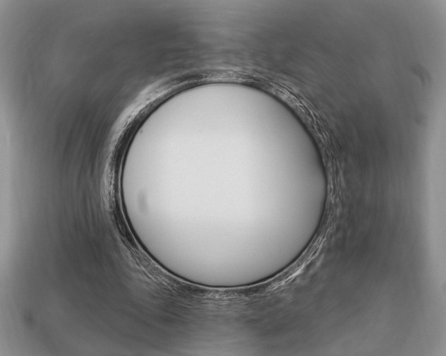 X0000113740343200909230950