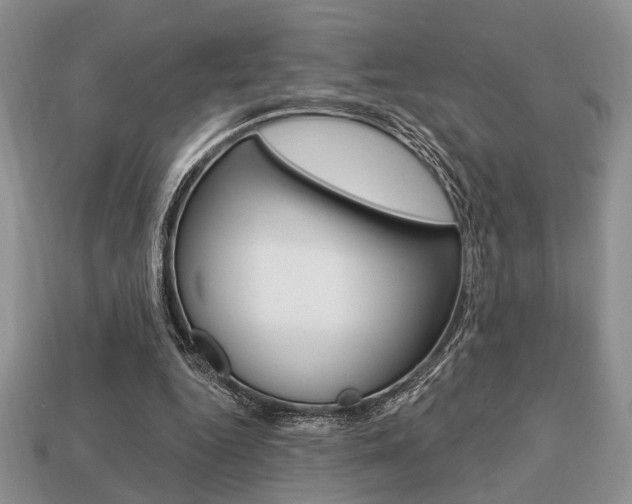 X0000113740344200909230950