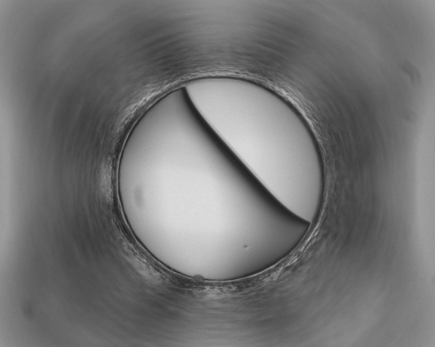 X0000113740345200909230950