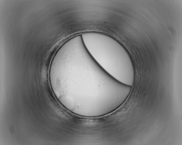 X0000113740347200909230950