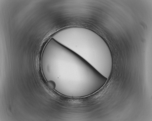 X0000113740349200909230950