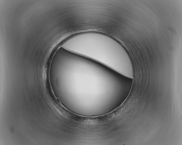 X0000113740350200909230950