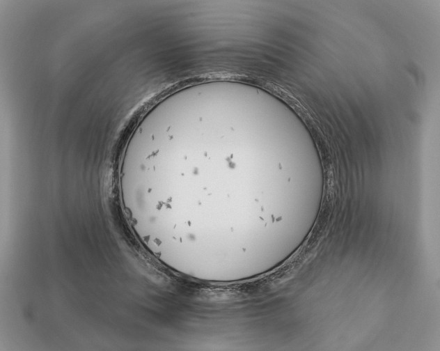 X0000113740351200909230950