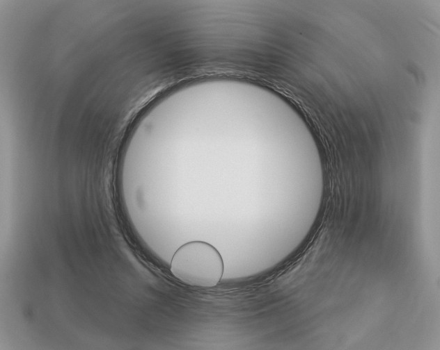 X0000113740352200909230950