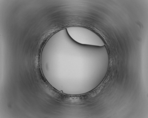 X0000113740353200909230950