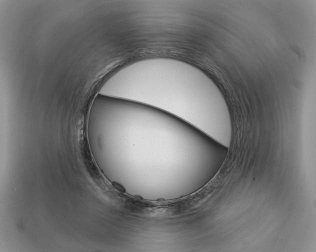 X0000113740356200909230950