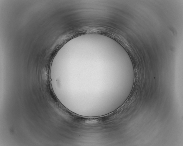 X0000113740357200909230950