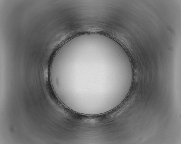 X0000113740358200909230950