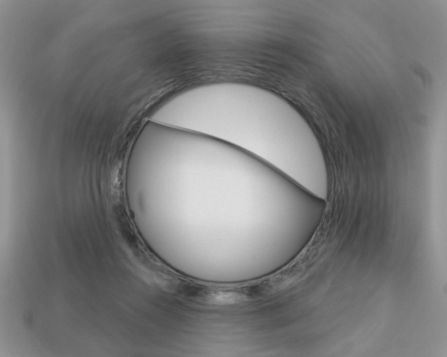 X0000113740360200909230950