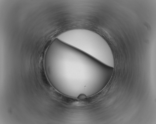 X0000113740364200909230950
