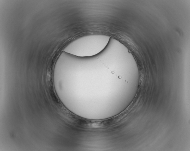 X0000113740365200909230950
