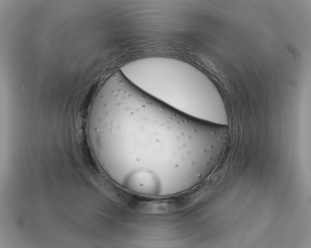 X0000113740366200909230950
