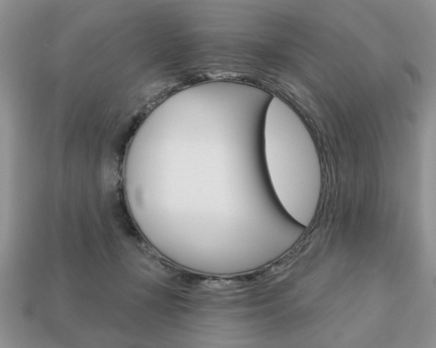 X0000113740367200909230950