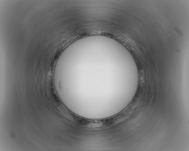 X0000113740369200909230950