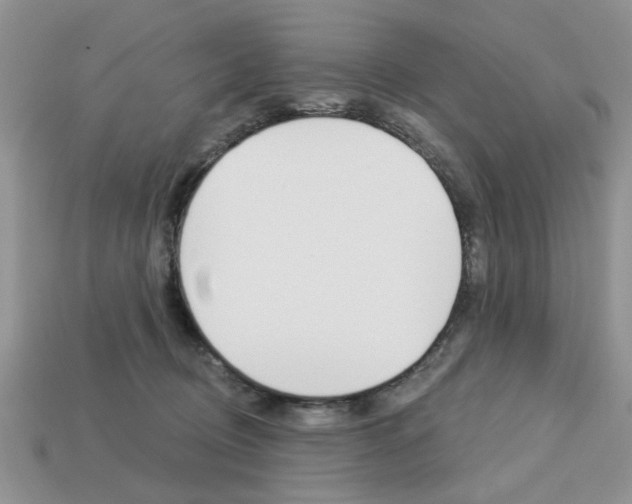 X0000113740370200909230950